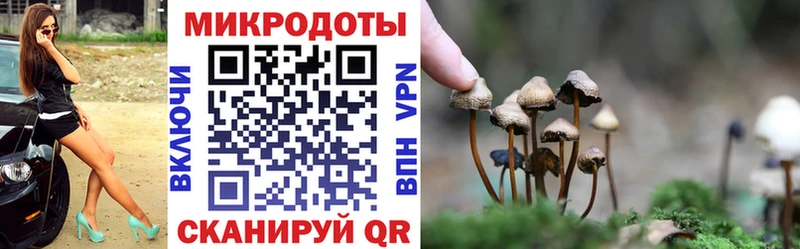 Псилоцибиновые грибы Psilocybe  где купить наркоту  Динская 